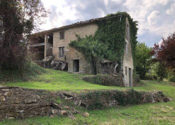 Foto 26 - Rustico C.da Pedegnano, Penna San Giovanni - foto 26