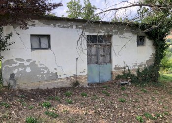 Foto 28 - Rustico C.da Pedegnano, Penna San Giovanni - foto 28