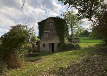 Foto 29 - Rustico C.da Pedegnano, Penna San Giovanni - foto 29