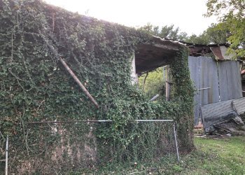 Foto 31 - Rustico C.da Pedegnano, Penna San Giovanni - foto 31