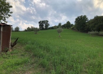 Foto 48 - Rustico C.da Pedegnano, Penna San Giovanni - foto 48