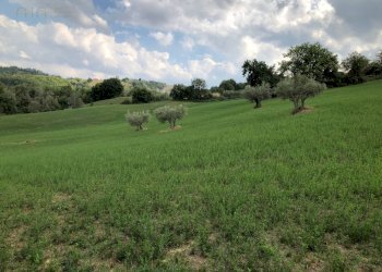 Foto 49 - Rustico C.da Pedegnano, Penna San Giovanni - foto 49