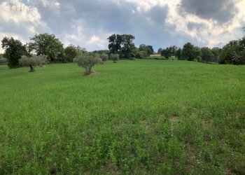 Foto 51 - Rustico C.da Pedegnano, Penna San Giovanni - foto 51