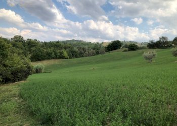 Foto 52 - Rustico C.da Pedegnano, Penna San Giovanni - foto 52