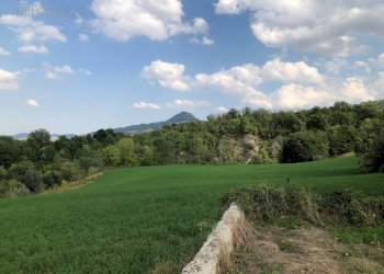 Foto 53 - Rustico C.da Pedegnano, Penna San Giovanni - foto 53