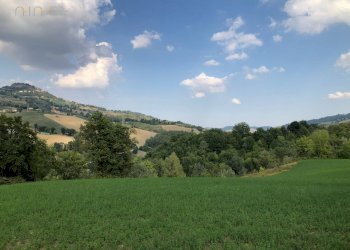 Foto 54 - Rustico C.da Pedegnano, Penna San Giovanni - foto 54