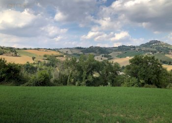 Foto 55 - Rustico C.da Pedegnano, Penna San Giovanni - foto 55