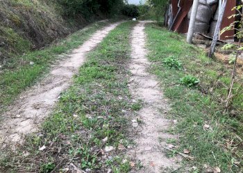 Foto 59 - Rustico C.da Pedegnano, Penna San Giovanni - foto 59