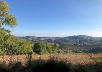 Foto 5 - Rustico C.da Monteradaldo
 
22, Santa Vittoria in Matenano - foto 5