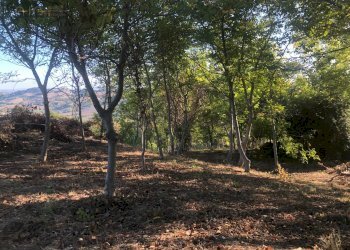 Foto 32 - Rustico C.da Monteradaldo
 
22, Santa Vittoria in Matenano - foto 28