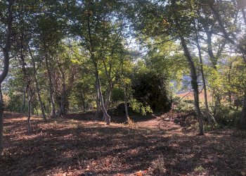 Foto 33 - Rustico C.da Monteradaldo
 
22, Santa Vittoria in Matenano - foto 29