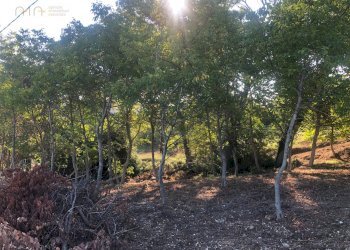 Foto 34 - Rustico C.da Monteradaldo
 
22, Santa Vittoria in Matenano - foto 30