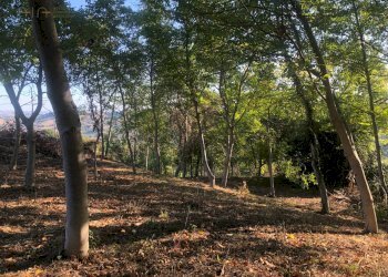 Foto 35 - Rustico C.da Monteradaldo
 
22, Santa Vittoria in Matenano - foto 31