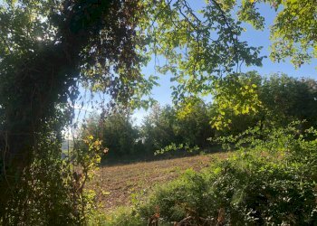 Foto 36 - Rustico C.da Monteradaldo
 
22, Santa Vittoria in Matenano - foto 32