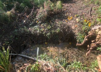 Foto 37 - Rustico C.da Monteradaldo
 
22, Santa Vittoria in Matenano - foto 33