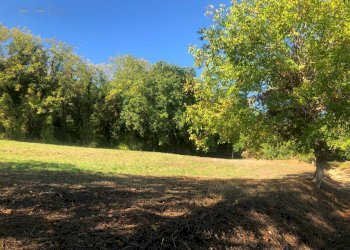 Foto 41 - Rustico C.da Monteradaldo
 
22, Santa Vittoria in Matenano - foto 37