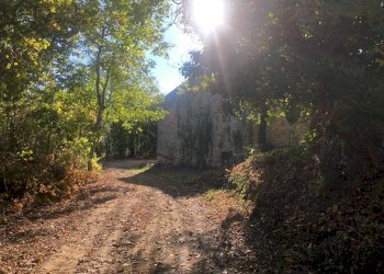 Foto 42 - Rustico C.da Monteradaldo
 
22, Santa Vittoria in Matenano - foto 38