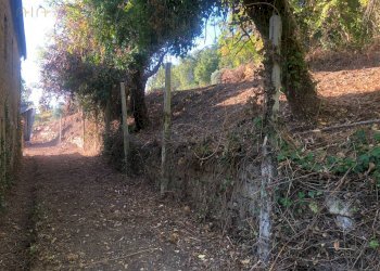 Foto 46 - Rustico C.da Monteradaldo
 
22, Santa Vittoria in Matenano - foto 42