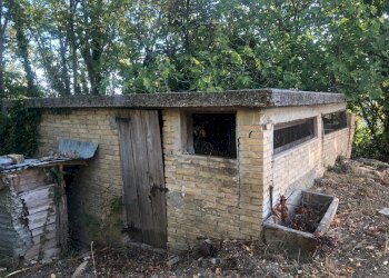 Foto 47 - Rustico C.da Monteradaldo
 
22, Santa Vittoria in Matenano - foto 43