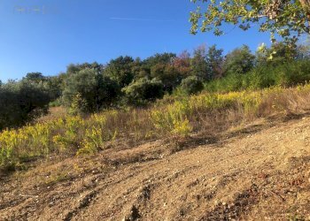 Foto 53 - Rustico C.da Monteradaldo
 
22, Santa Vittoria in Matenano - foto 49