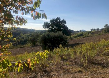 Foto 54 - Rustico C.da Monteradaldo
 
22, Santa Vittoria in Matenano - foto 50