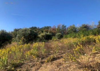 Foto 55 - Rustico C.da Monteradaldo
 
22, Santa Vittoria in Matenano - foto 51