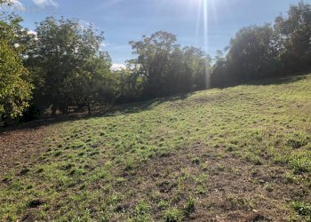 Foto 62 - Rustico C.da Monteradaldo
 
22, Santa Vittoria in Matenano - foto 58