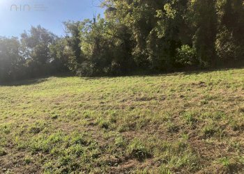 Foto 63 - Rustico C.da Monteradaldo
 
22, Santa Vittoria in Matenano - foto 59