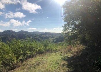 Foto 65 - Rustico C.da Monteradaldo
 
22, Santa Vittoria in Matenano - foto 61