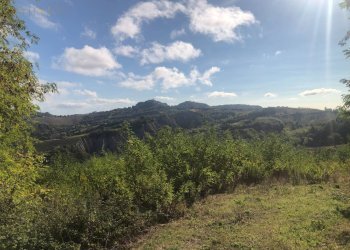 Foto 66 - Rustico C.da Monteradaldo
 
22, Santa Vittoria in Matenano - foto 62