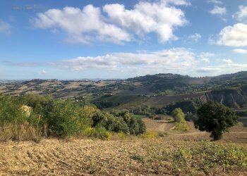 Foto 67 - Rustico C.da Monteradaldo
 
22, Santa Vittoria in Matenano - foto 63