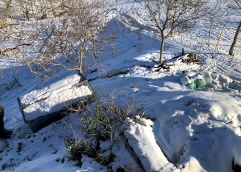 Foto 25 - Quadrilocale Loc. Ferrà, Montemonaco - foto 24