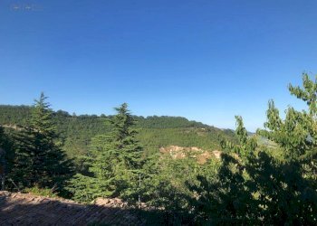 Foto 43 - Rustico C.da San Biagio
 
78, Montefalcone Appennino - foto 40