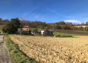 Foto 5 - Villa c.da Case Rosse
 
27/29, Ripatransone - foto 5