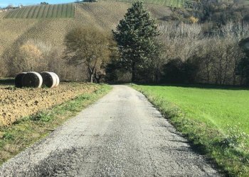 Foto 7 - Villa c.da Case Rosse
 
27/29, Ripatransone - foto 7