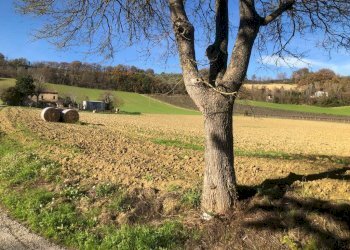 Foto 10 - Villa c.da Case Rosse
 
27/29, Ripatransone - foto 10