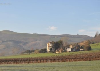 Foto 14 - Villa c.da Case Rosse
 
27/29, Ripatransone - foto 14