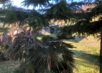 Foto 38 - Villa c.da Case Rosse
 
27/29, Ripatransone - foto 38