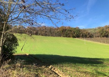 Foto 66 - Villa c.da Case Rosse
 
27/29, Ripatransone - foto 61