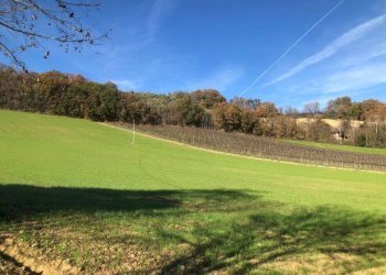 Foto 67 - Villa c.da Case Rosse
 
27/29, Ripatransone - foto 62