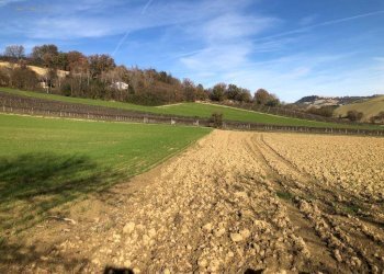 Foto 68 - Villa c.da Case Rosse
 
27/29, Ripatransone - foto 63