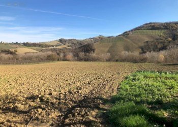 Foto 69 - Villa c.da Case Rosse
 
27/29, Ripatransone - foto 64