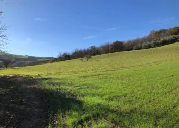 Foto 70 - Villa c.da Case Rosse
 
27/29, Ripatransone - foto 65