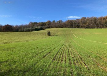 Foto 71 - Villa c.da Case Rosse
 
27/29, Ripatransone - foto 66