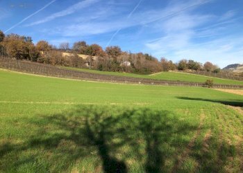 Foto 73 - Villa c.da Case Rosse
 
27/29, Ripatransone - foto 68