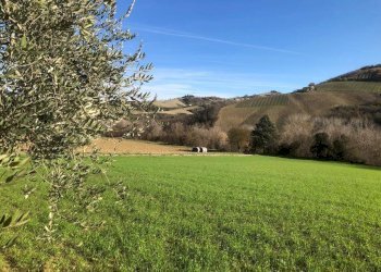 Foto 74 - Villa c.da Case Rosse
 
27/29, Ripatransone - foto 69