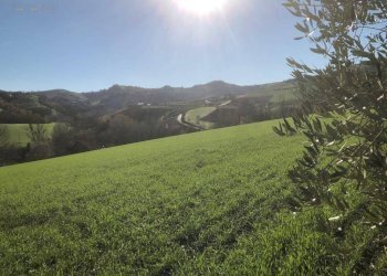 Foto 75 - Villa c.da Case Rosse
 
27/29, Ripatransone - foto 70