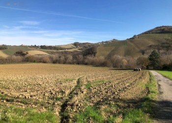 Foto 76 - Villa c.da Case Rosse
 
27/29, Ripatransone - foto 71