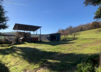 Foto 79 - Villa c.da Case Rosse
 
27/29, Ripatransone - foto 74