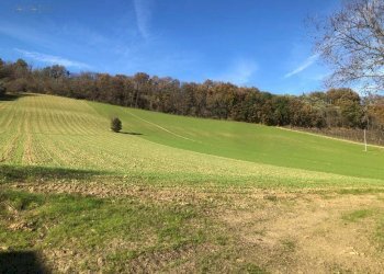 Foto 80 - Villa c.da Case Rosse
 
27/29, Ripatransone - foto 75